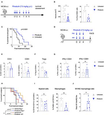 Plinabulin, a Distinct Microtubule-Targeting Chemotherapy, Promotes M1-Like Macrophage Polarization and Anti-tumor Immunity